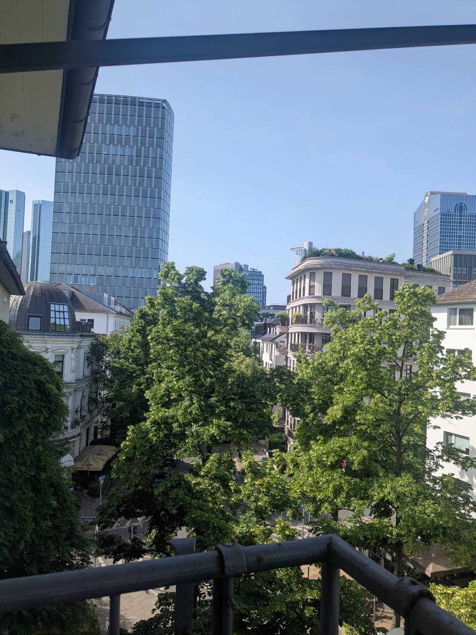 Blick über die begrünten Straßen des Frankfurter Westends mit Hochhäusern im Hintergrund